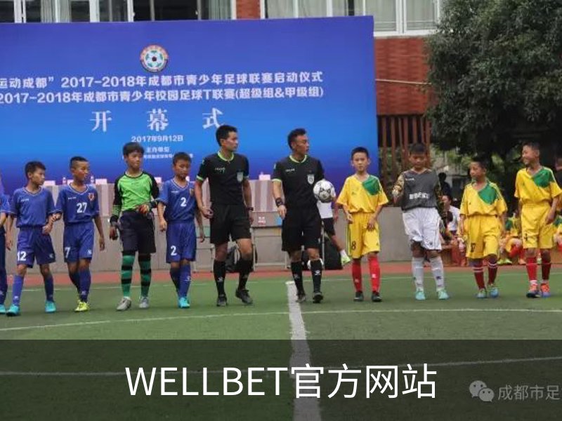 WELLBET官方网站概况